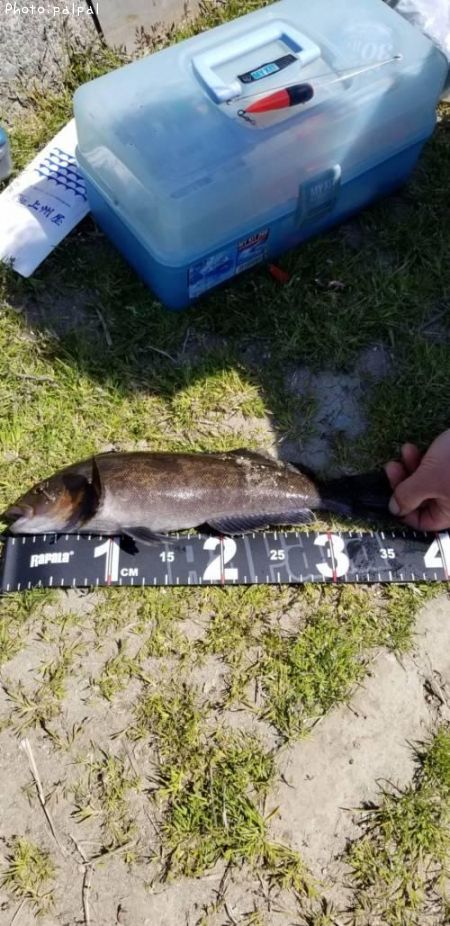 �����ʥ�