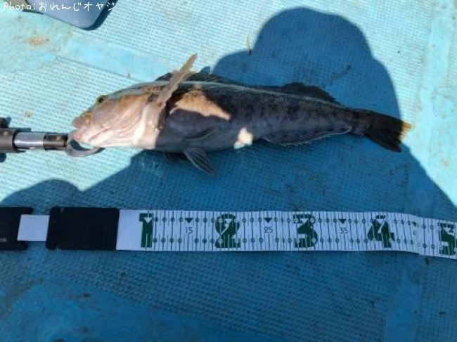 �����ʥ�