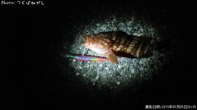 �����ϥ�