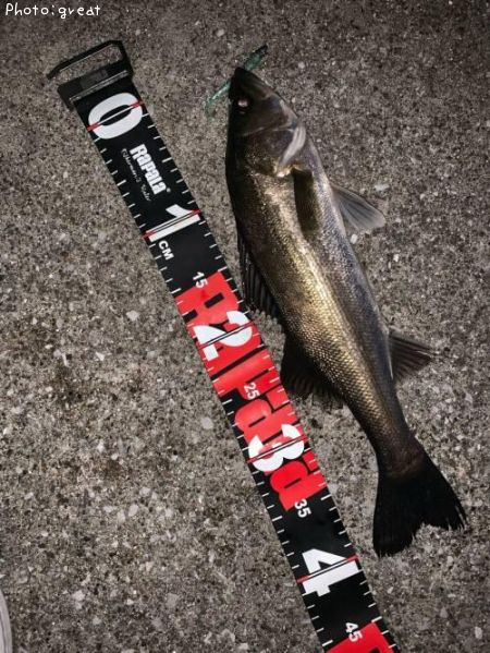 �����Х�