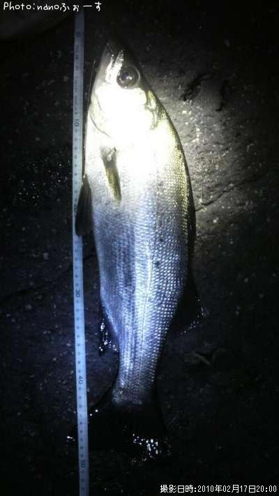 �ҥ饹����