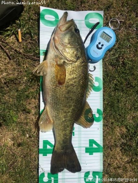 �֥�å��Х�