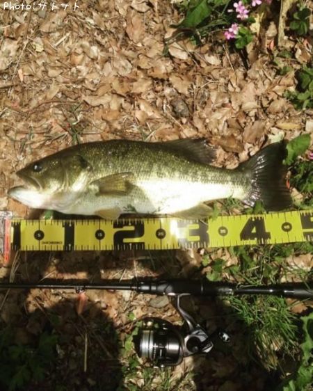 �֥�å��Х�