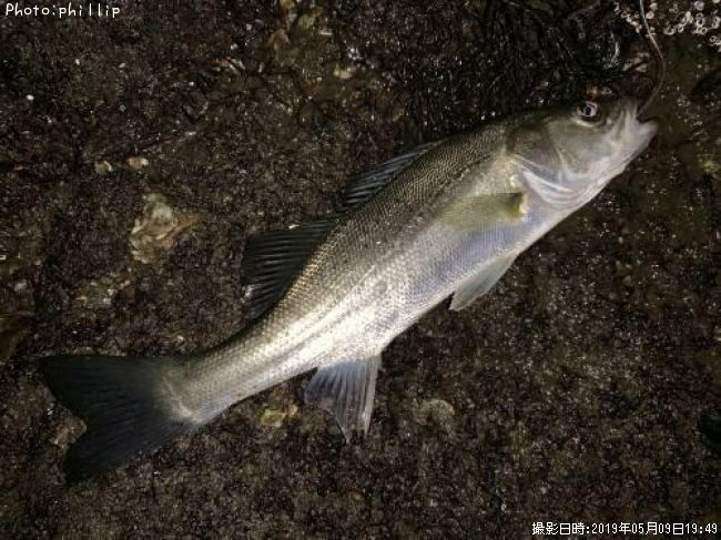 �����Х�