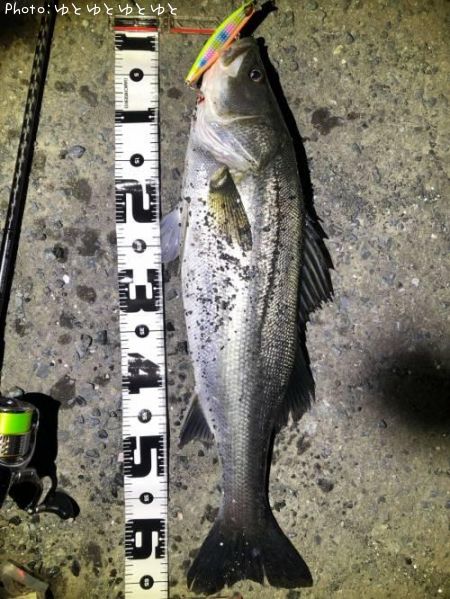 �����Х�