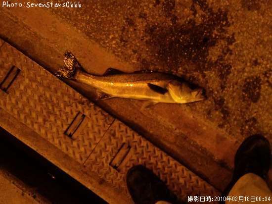 �����Х�