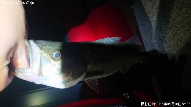 �����Х�