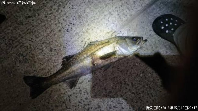 �����Х�