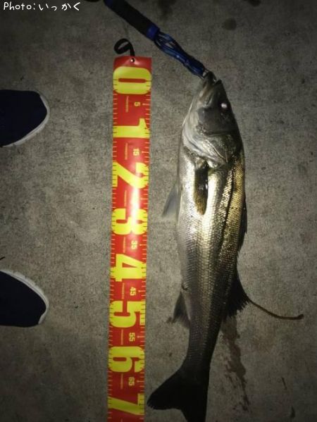 �����Х�