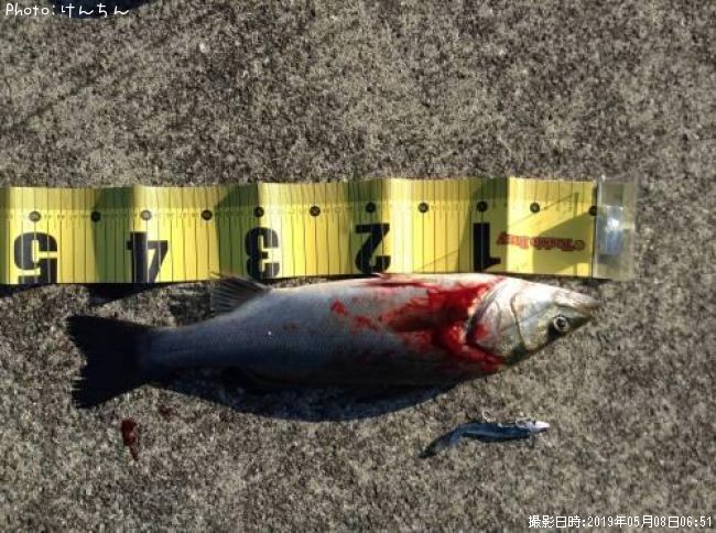 �����Х�