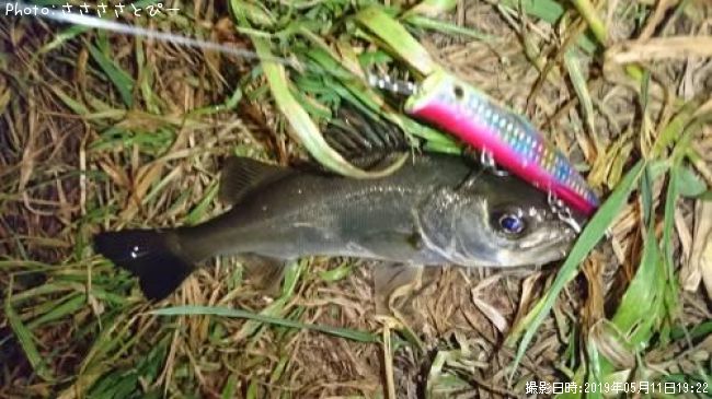 �����Х�