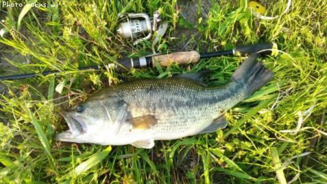 �֥�å��Х�