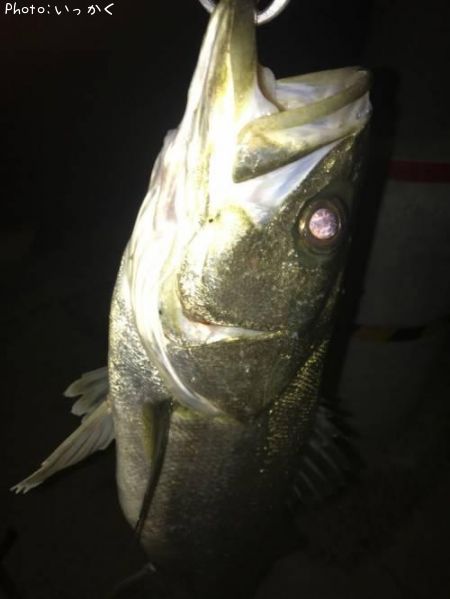 �����Х�