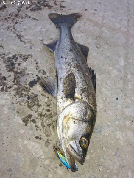 �����Х�