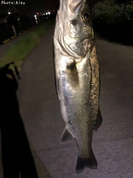 �����Х�