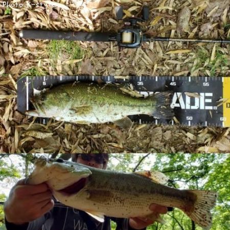 �֥�å��Х�