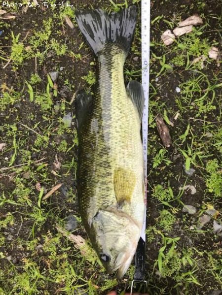 �֥�å��Х�