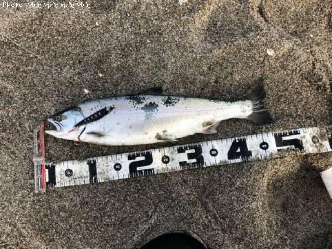 ������ޥ�