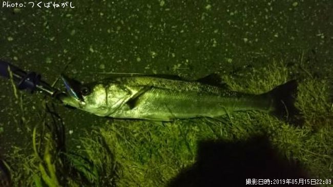 �����Х�