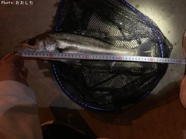 �����Х�