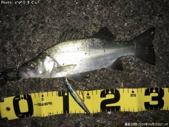 �����Х��ʥҥ饻������