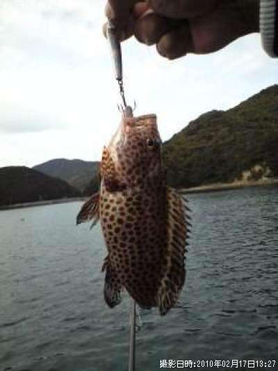 �������ϥ�