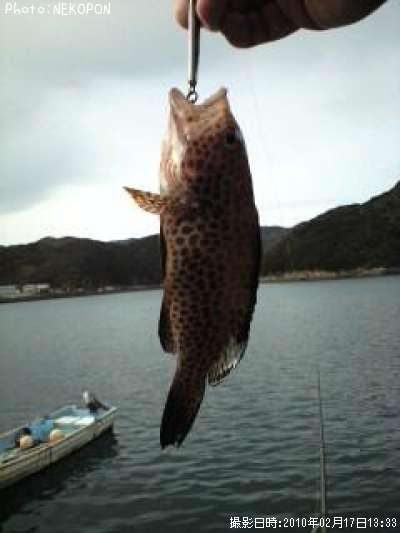 �������ϥ�