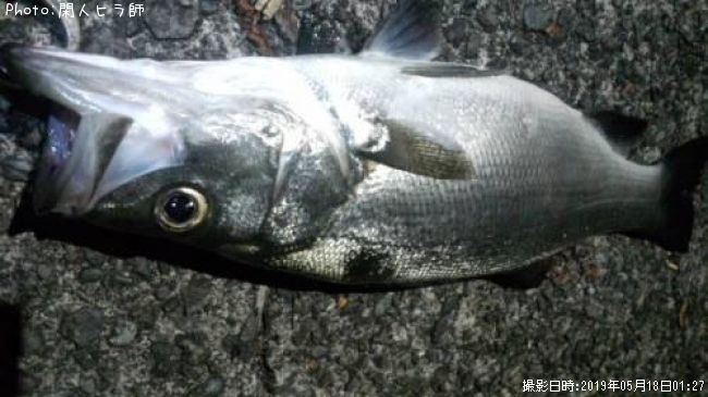 �ҥ饹����
