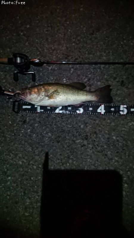 �֥�å��Х�