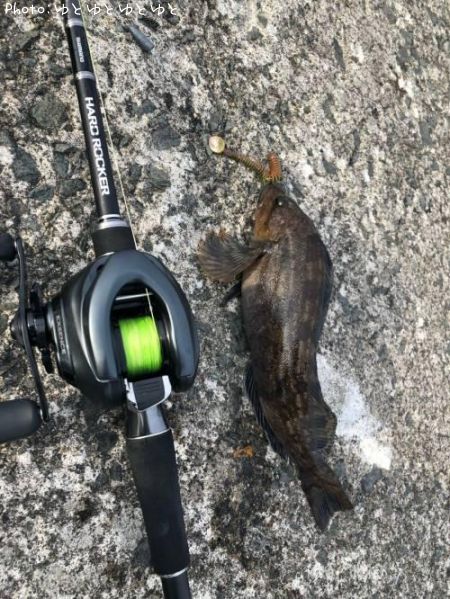 �����ʥ�