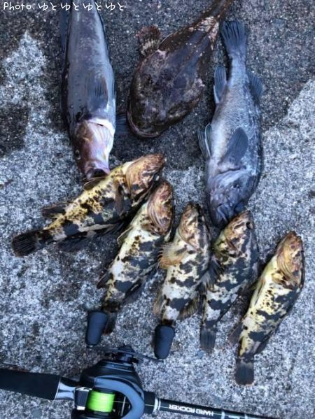 �����Υ���Х�