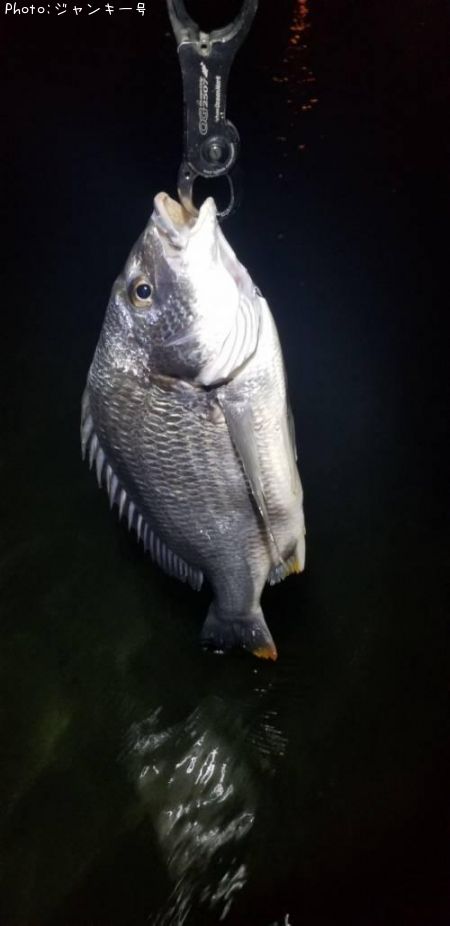 �������������ӥ�