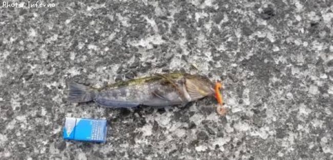 �����ʥ�