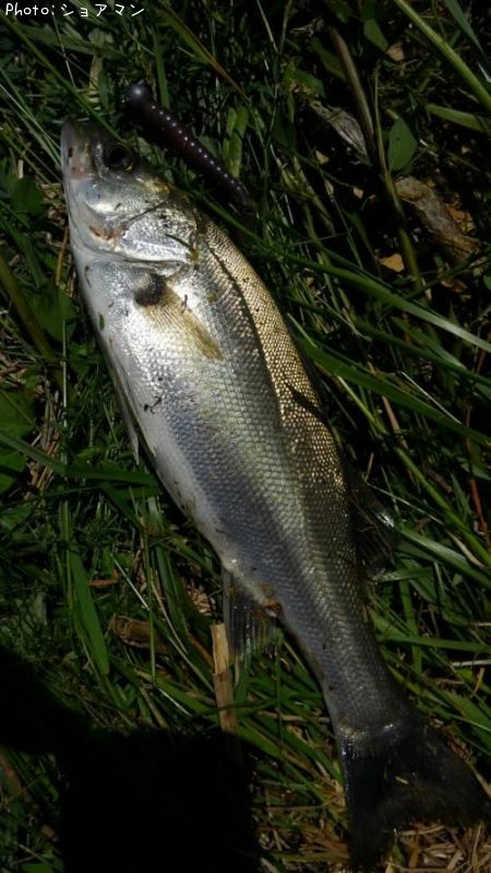 �����Х�