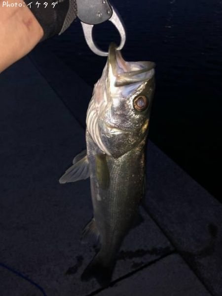 �����Х�