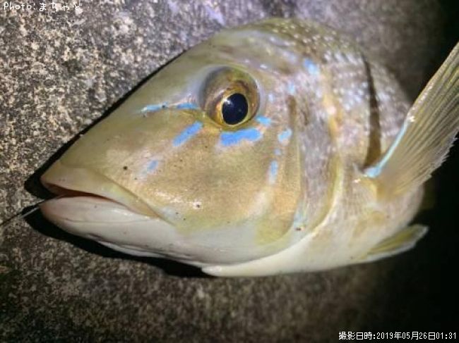 ���ޥ�ڥϥޥե��ե���