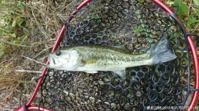 �֥�å��Х�