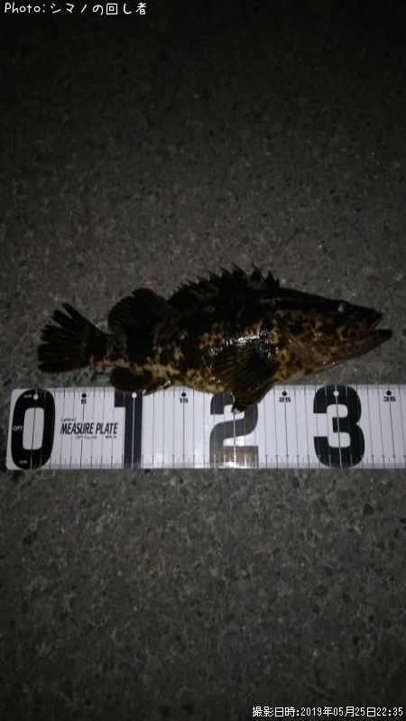 �����Υ���Х�