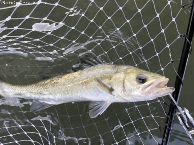 �����Х�