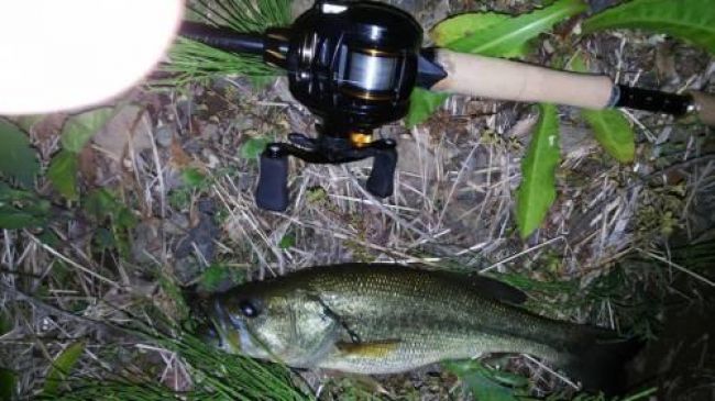 �֥�å��Х�