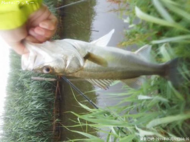 �����Х�