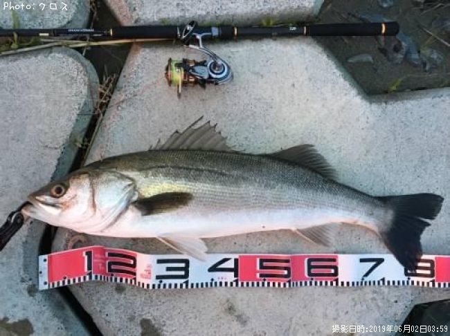 �����Х�