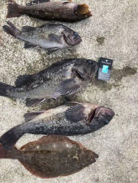 �ҥ�ᡢ�����ʥᡢ��������