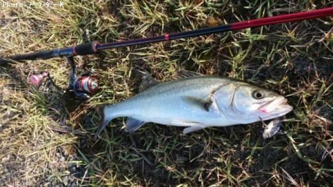 �����Х�