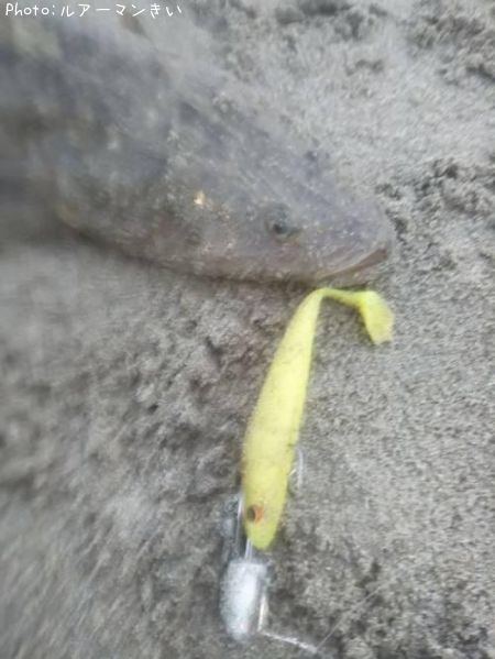 �ޥ���