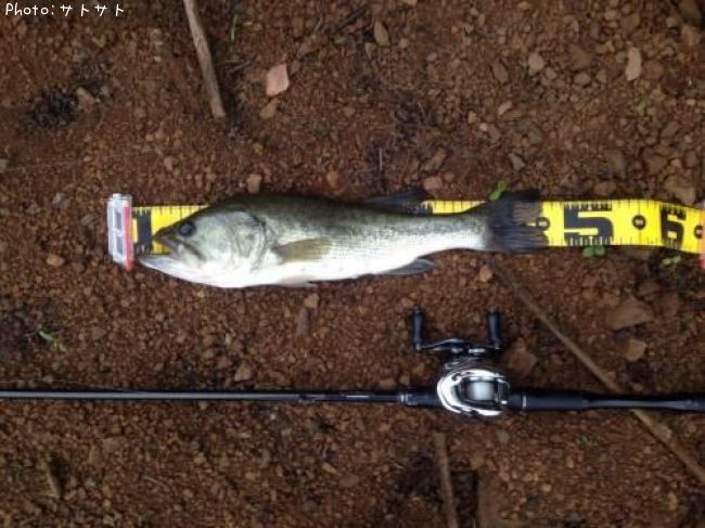 �֥�å��Х�