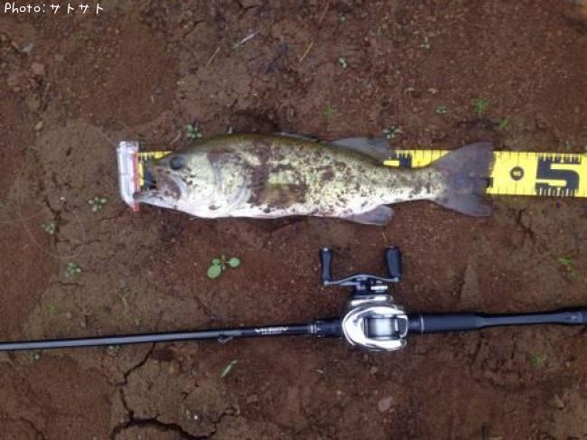 �֥�å��Х�