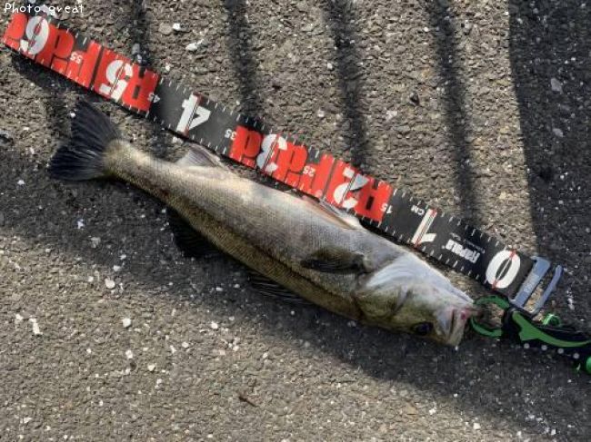 �����Х�