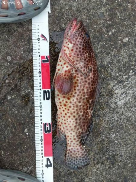 �������ϥ�