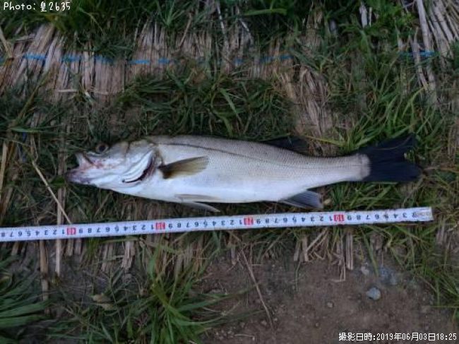 �����Х�